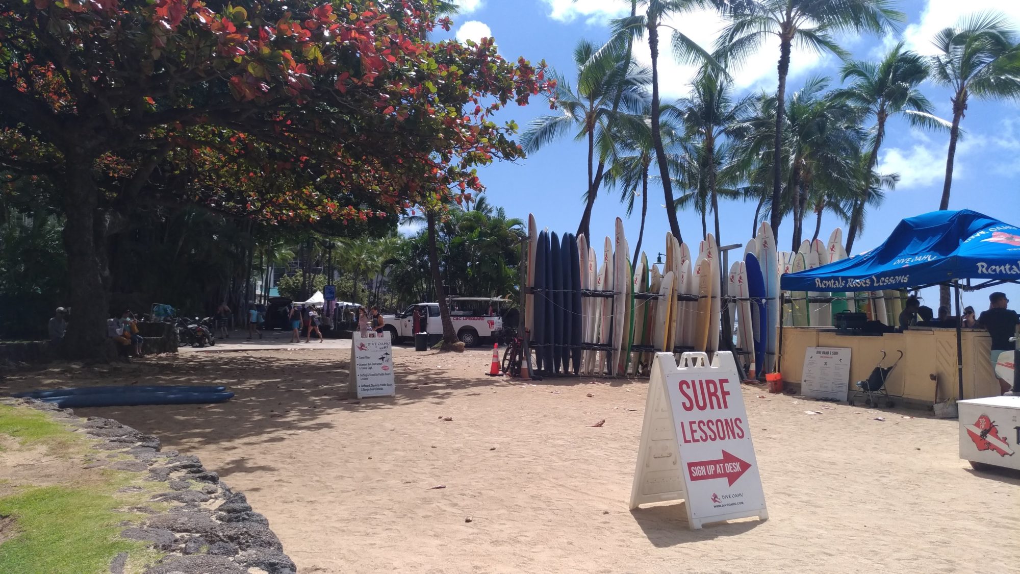 Waikiki Beach Surf Lesson