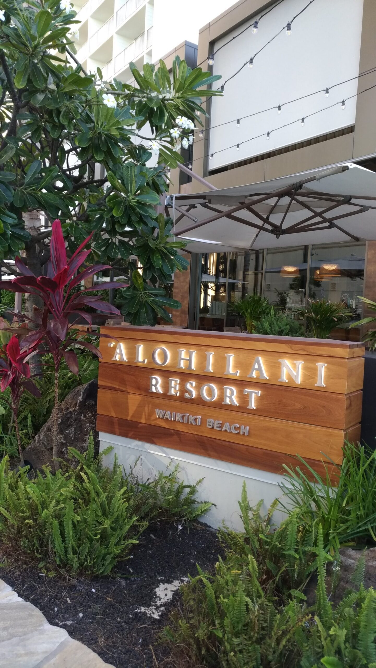 インフィニティプールが素敵な「アロヒラニリゾート」 - Feel Hawaii