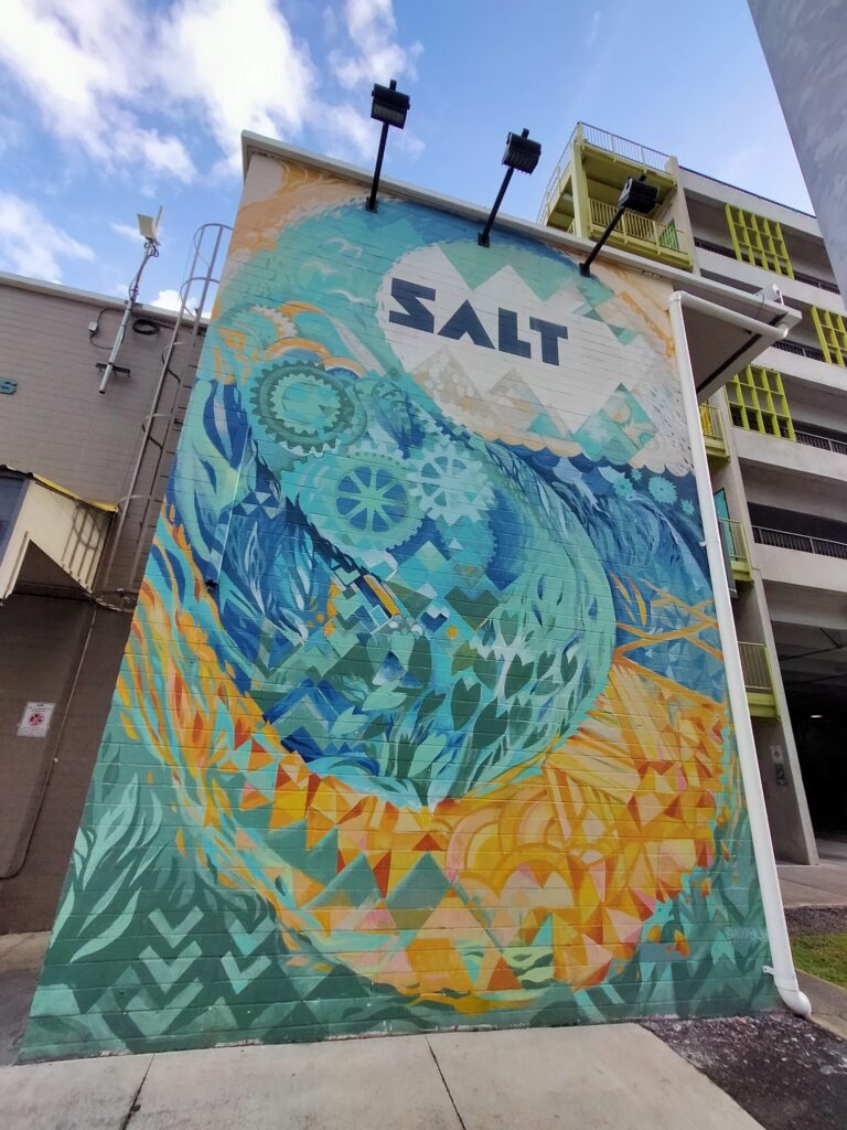salt-3