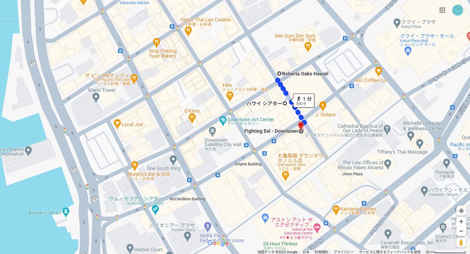 2022.12 ハワイ1人旅 vol.55｜定番フォトスポット「ハワイシアター」｜「ファイティング イール」 Feel Hawaii