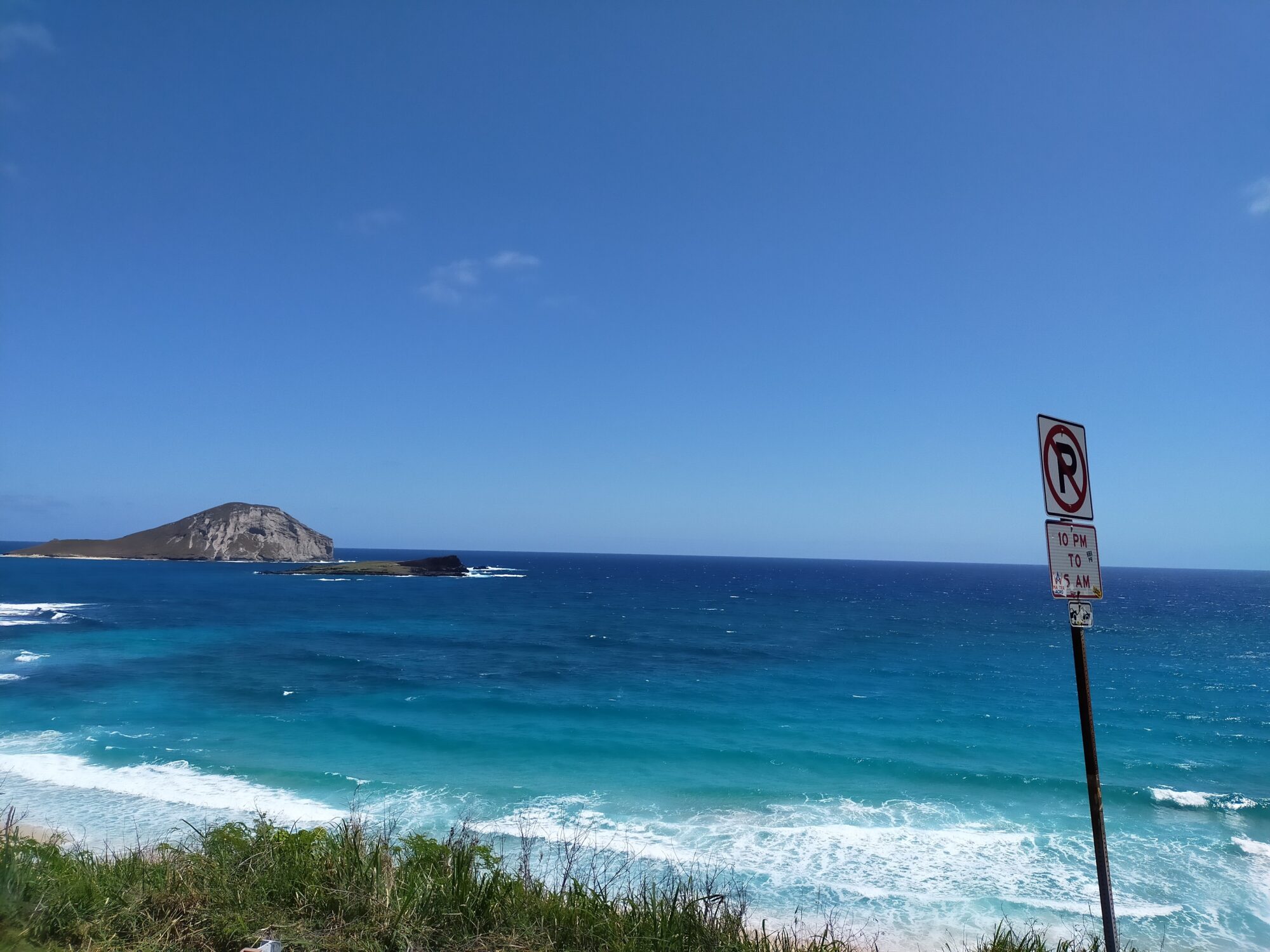 最終値下！】 プーリップ フルカスタム レア ハワイ 【3