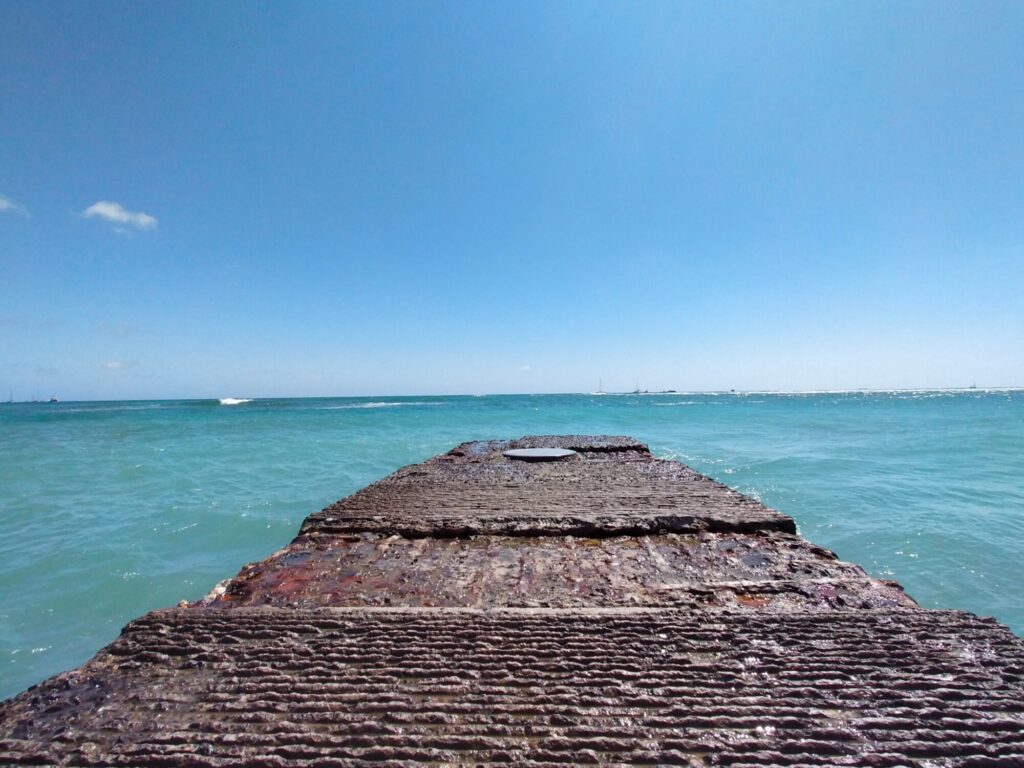 2024-4-waikikibeach-14