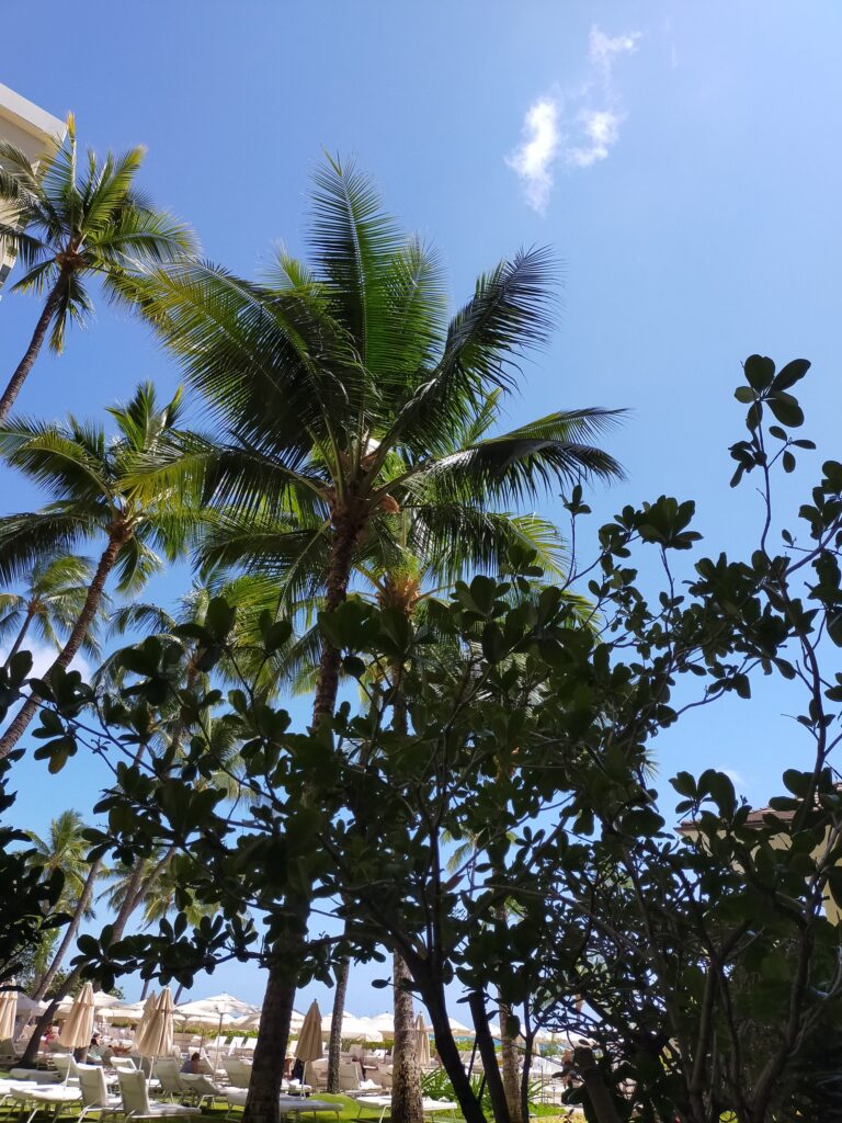 2024halekulani-37