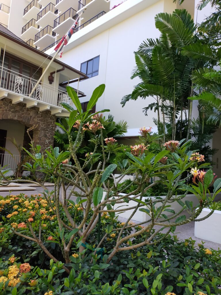 2024halekulani-36