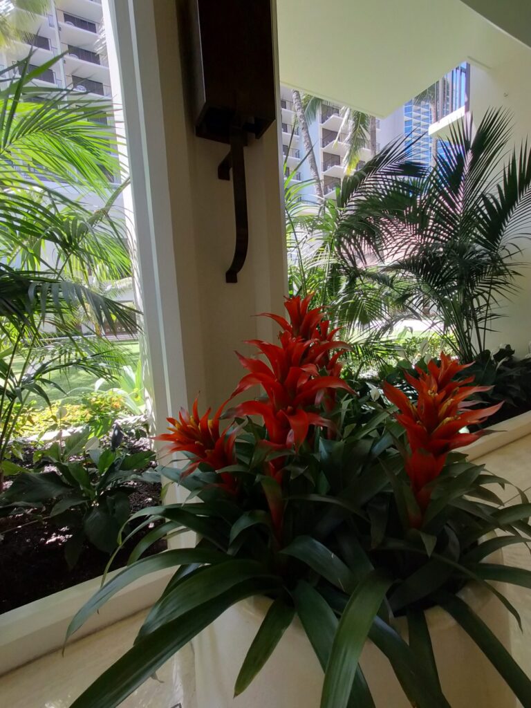 2024halekulani-35