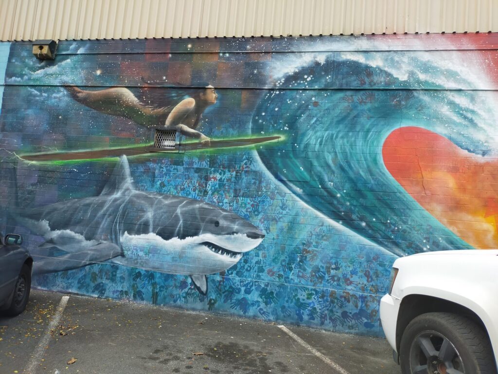 Fisher Hawaii-11