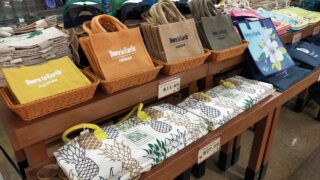 ✨️八丈島の椰子✨️ゆうパック着払い発送✨️ 2024.ハワイ1人旅 vol.61｜カカアコ｜「ダウン トゥ アース(Down to