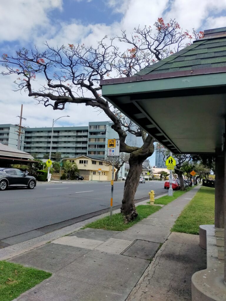 LONGS-WAIKIKISHOKUDO-19