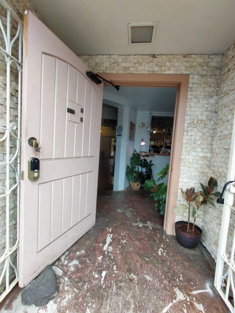 plant-based-paradise-11