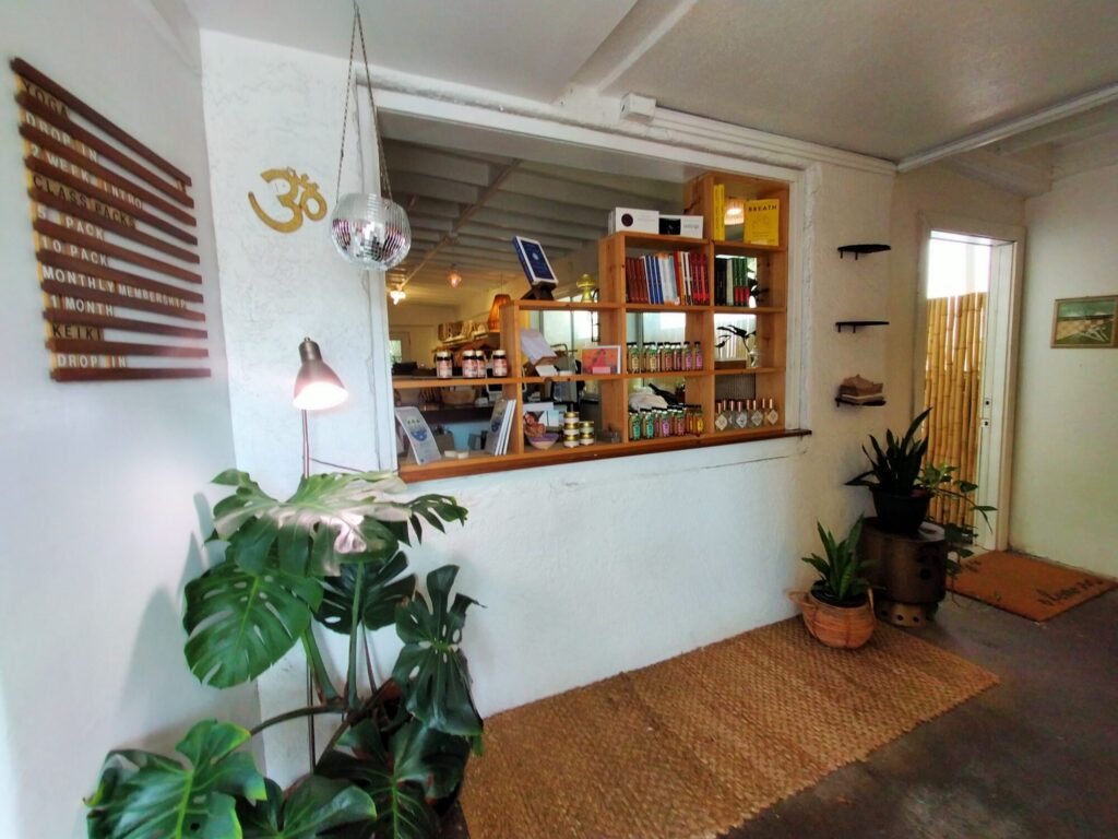 plant-based-paradise-12