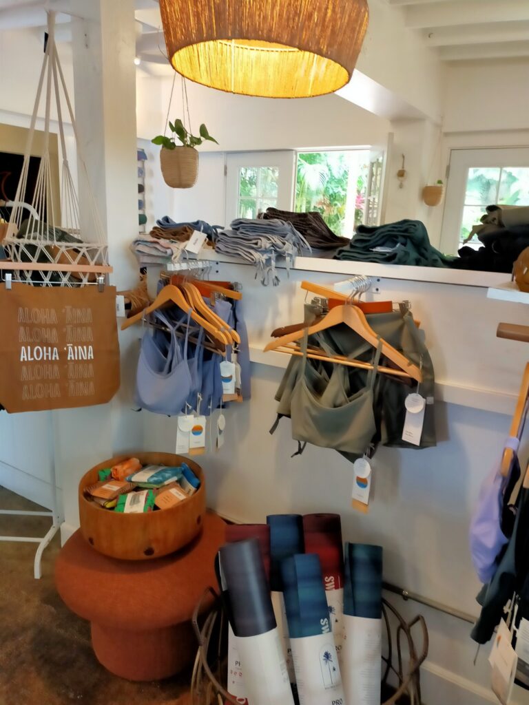 plant-based-paradise-3